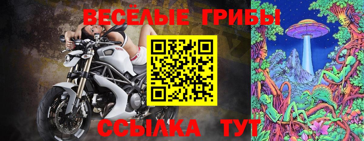 Обь  Псилоцибиновые грибы MAGIC MUSHROOMS  Вход с VPN  Псилоцибиновые грибы GOLDEN TEACHER 
